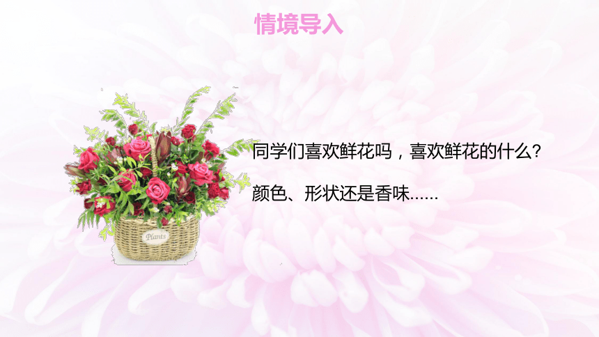 13 花钟（2课时） 课件(共27张PPT)