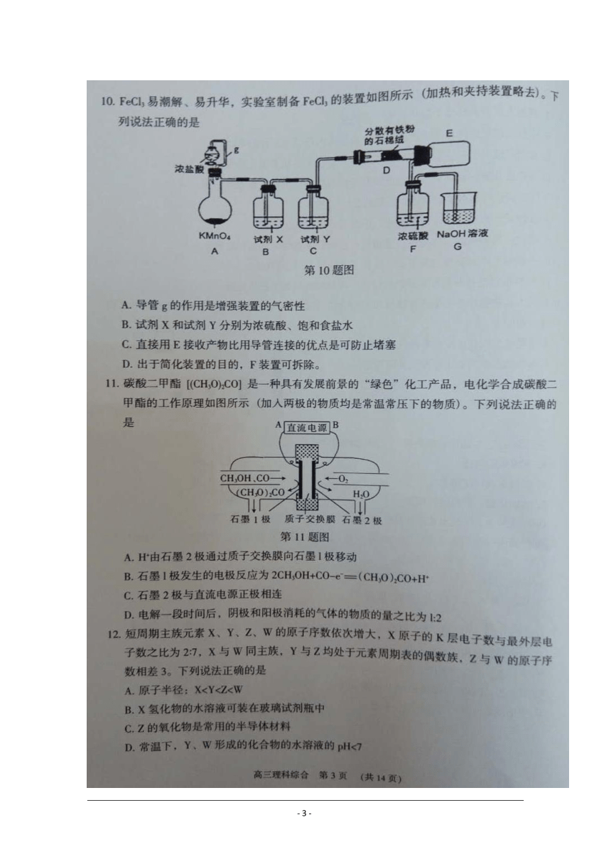 广东省东莞市2018届高三上学期期末教学质量检查理科综合试题+图片版含答案