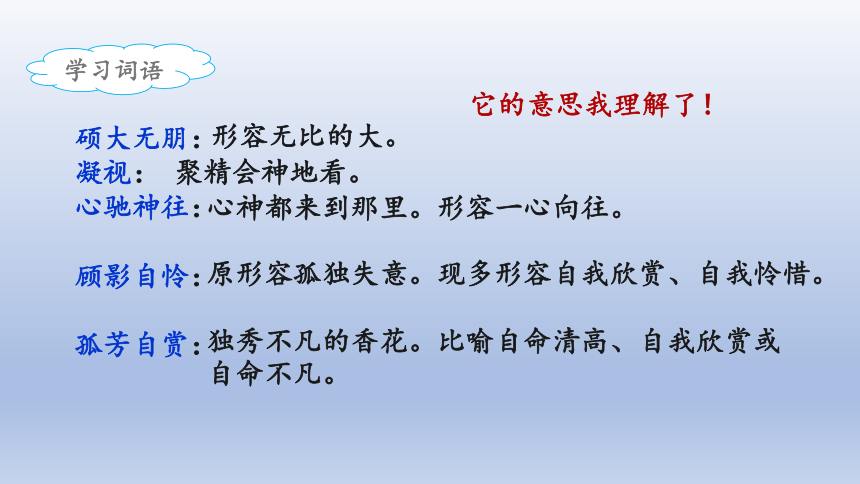 4《花之歌》课件（共23张PPT）