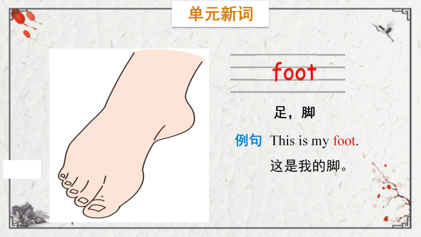 Unit 4 Body Lesson 1  This is my head课件（33张PPT)