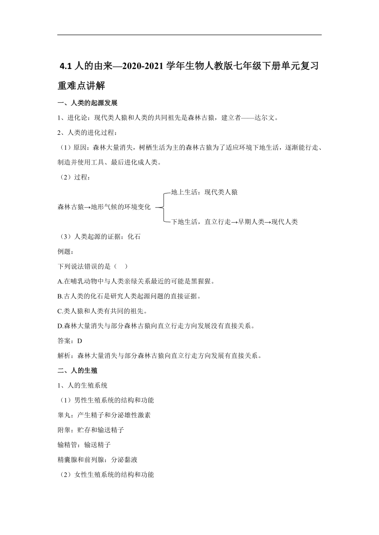 2020-2021学年生物人教版七年级下册4.1人的由来练习（word版含答案）