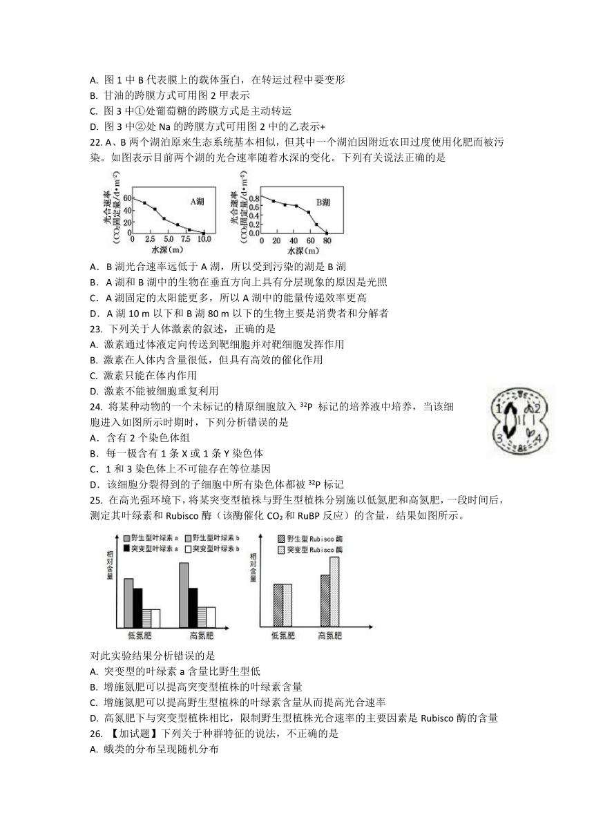 浙江省“七彩阳光”新高考研究联盟2017届高三下学期期初联考生物试题 Word版含答案