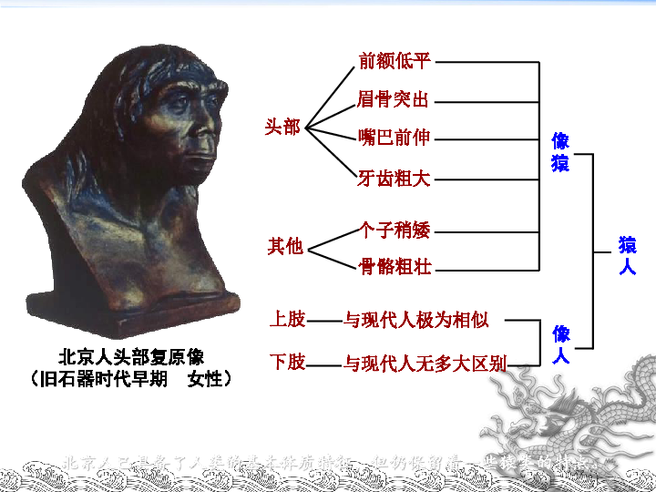 第1课 中国境内早期人类的代表--北京人  课件(共22张PPT)