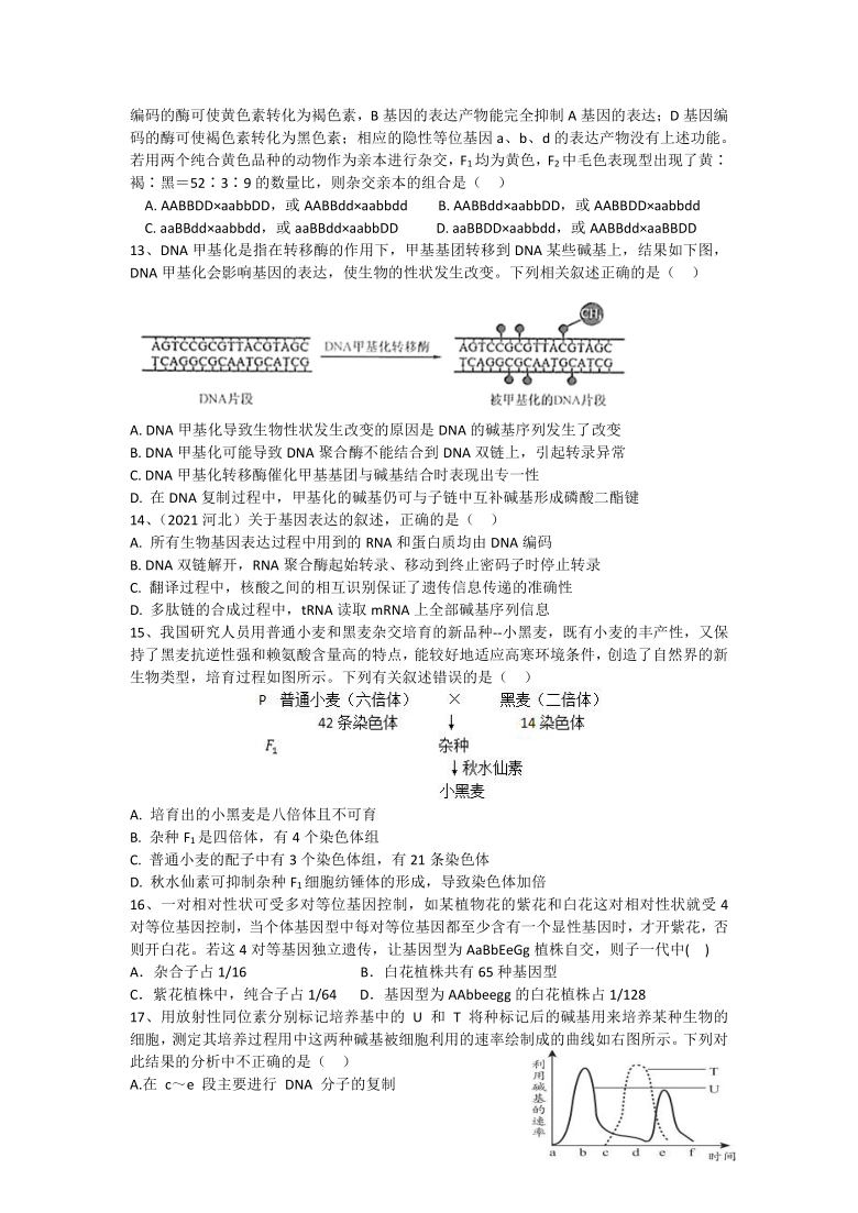 湖北省恩施三高2020-2021学年高一下学期期末考试生物试题 Word版含答案