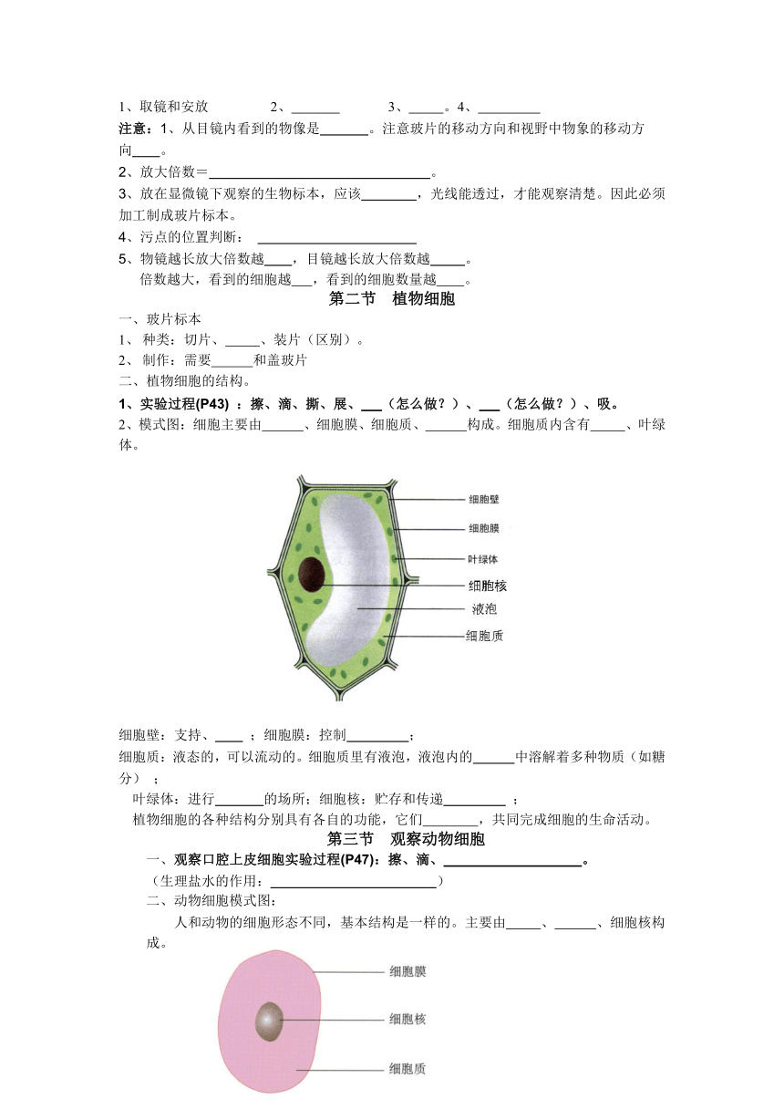 七年级上册生物复习提纲(人教新课标）