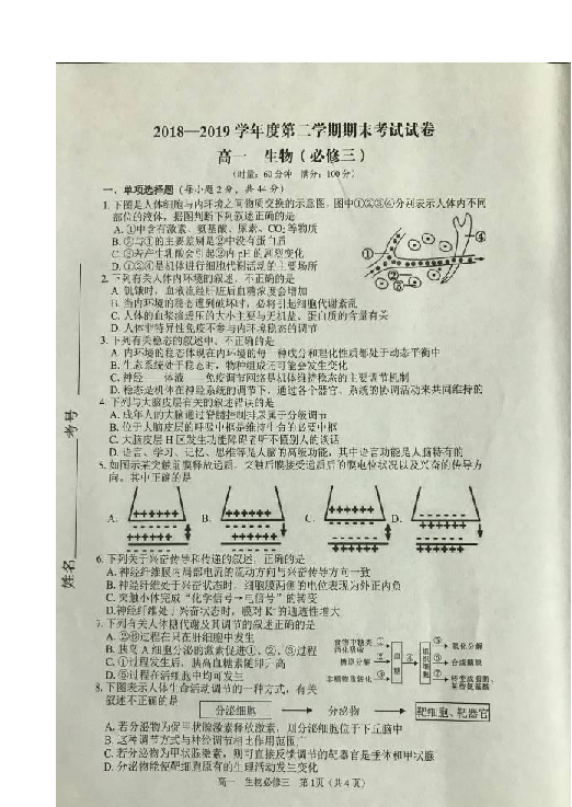 湖南省桃江县2018-2019学年高一下学期期末考试生物试题 扫描版