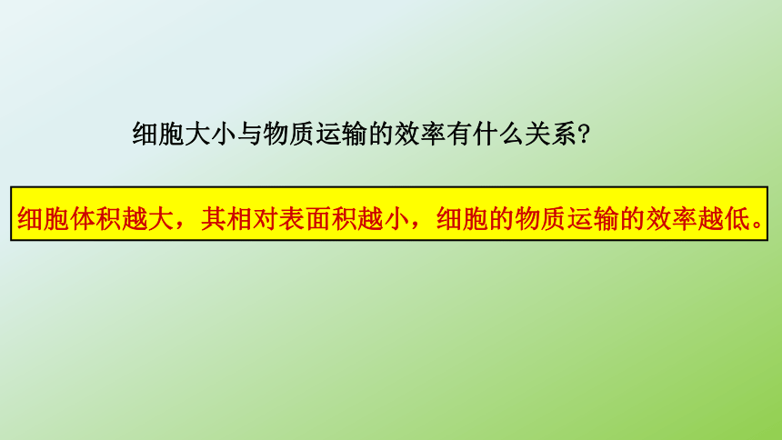 2021——2022学年高一上学期  人教版  必修1    6.1 细胞的增殖  课件（28张PPT）