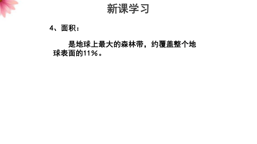 54群落的主要類型課件27張