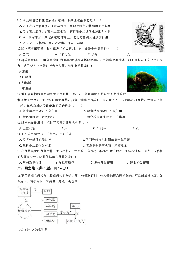 3.6 光合作用 提高练习