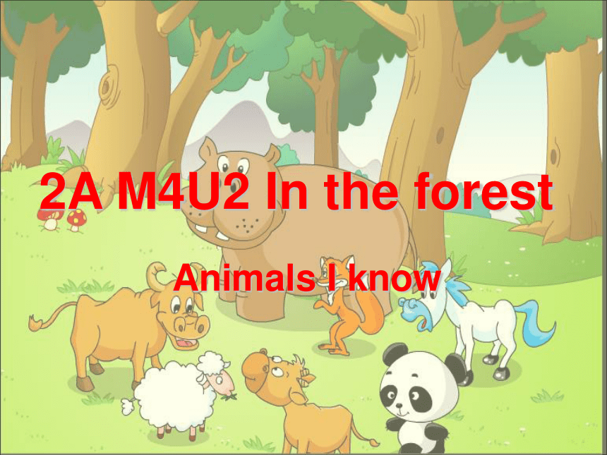 Unit 11 In the forest 课件