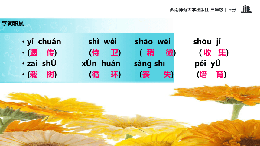 6绿手指  课件(共18张PPT)