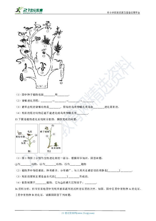 初中生物人教版八年级下册7.3.2生物进化的历程 同步训练（含解析）