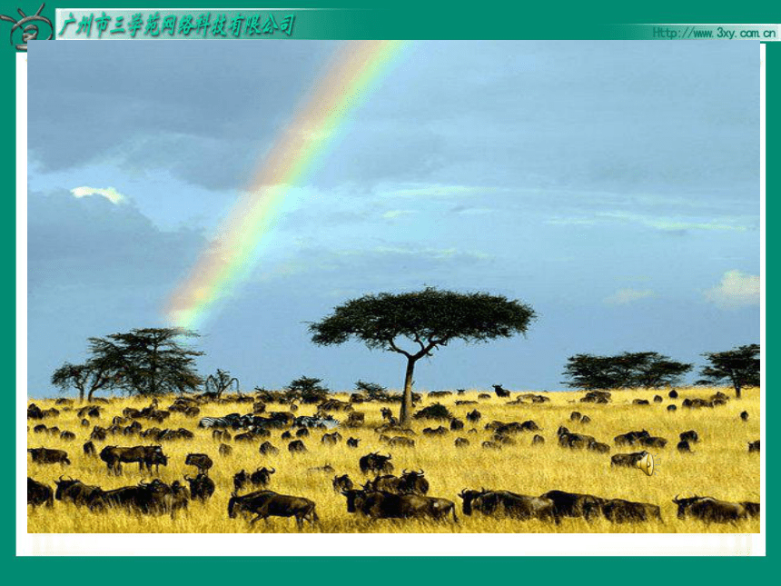 28彩色的非洲 课件 77pp