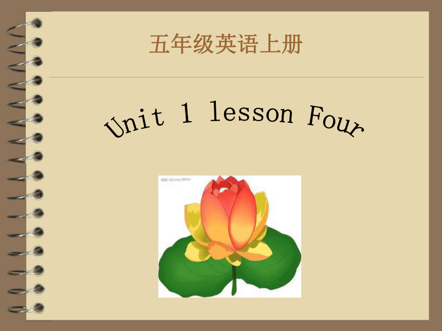 Unit1 We have new frlends(Lesson4) 课件(共32张PPT)
