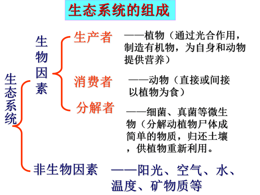 种群生物群落生态系统和生物圈浙江省温州市